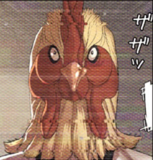 闘鶏