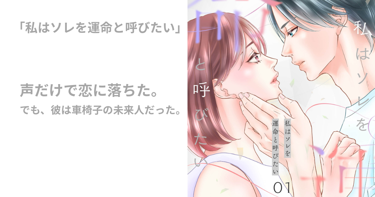 私はソレを運命と呼びたい
